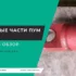 Гидроцилиндры: полный обзор и ТОП лучших для покупки